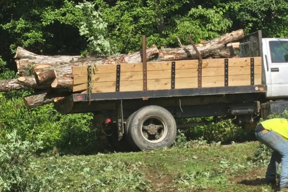 Hauling Services