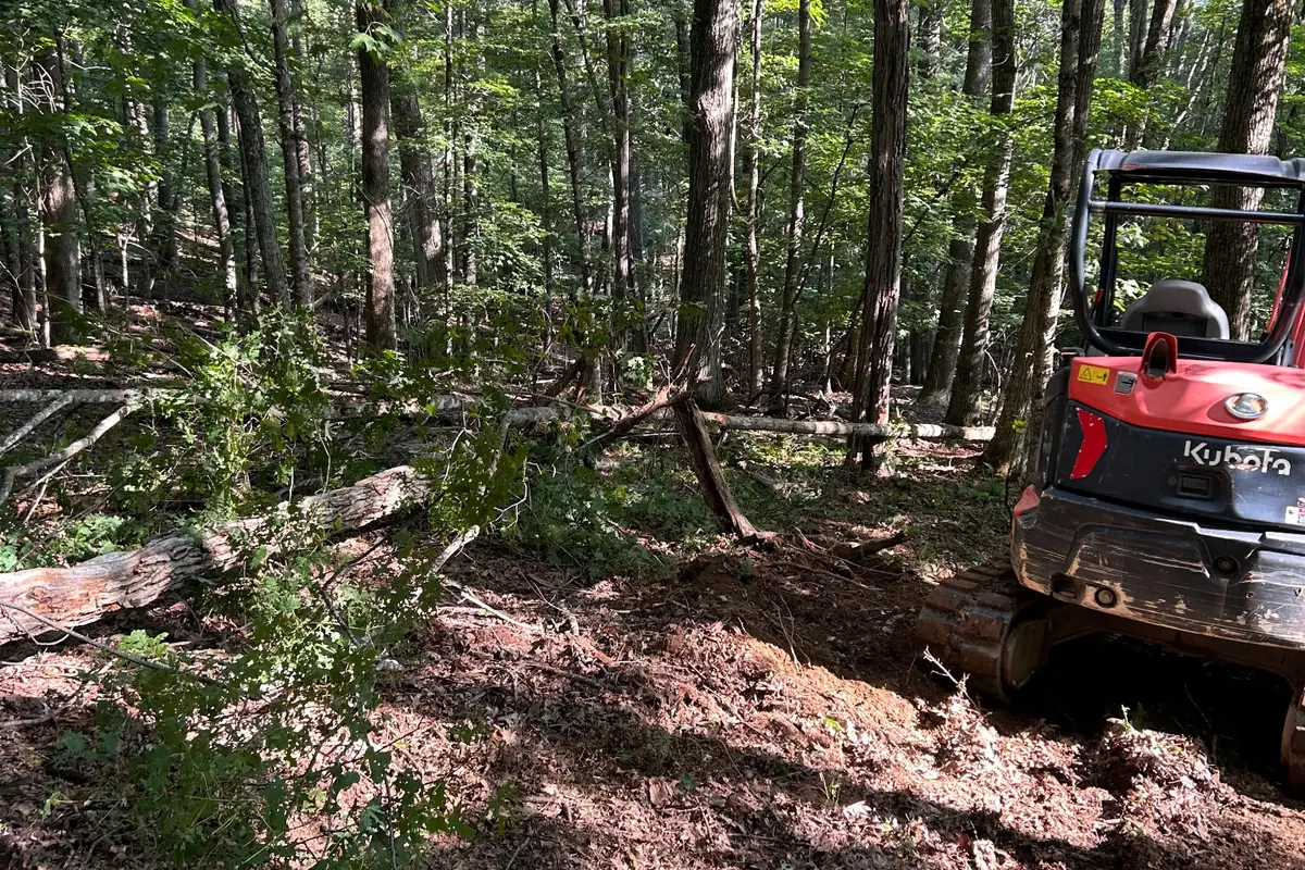 Land Clearing