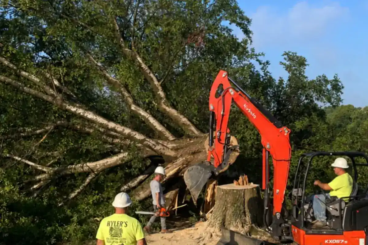 Site Cleanup by Hyler's Tree Service and Grading