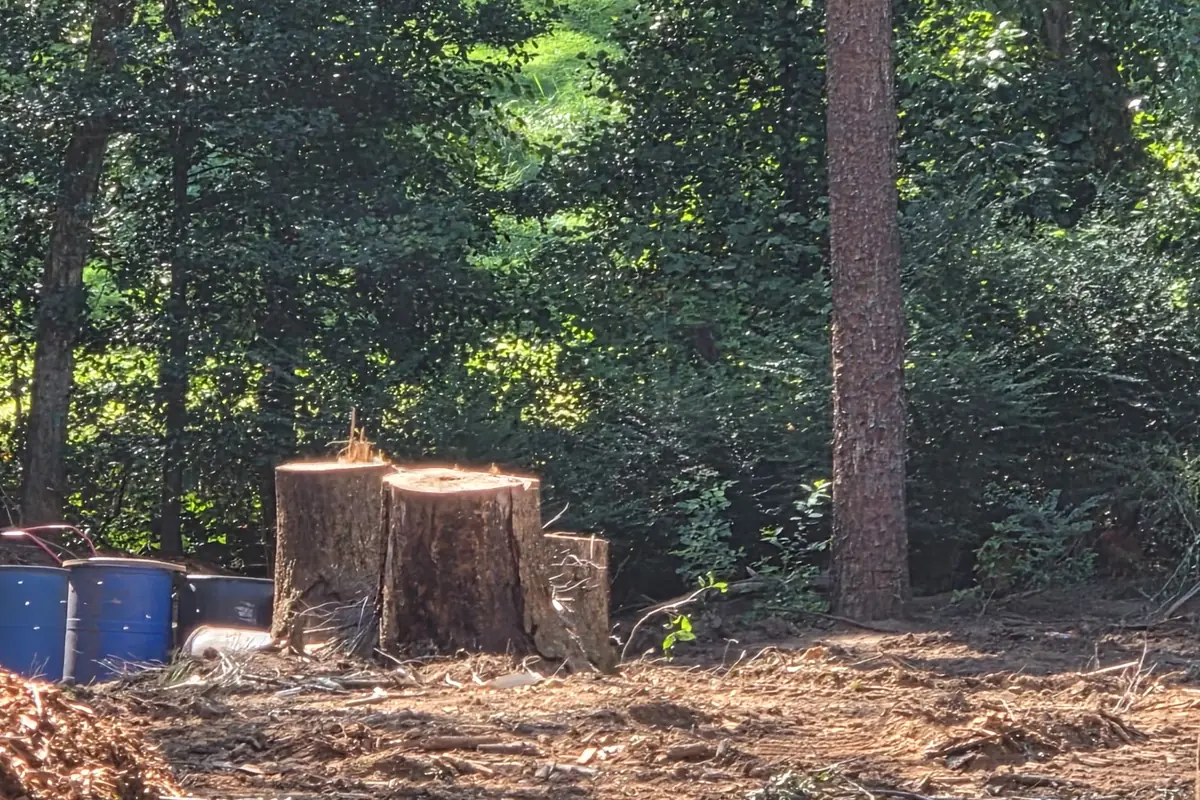Hyler's tree and property work representative of services available in Cornelius, NC