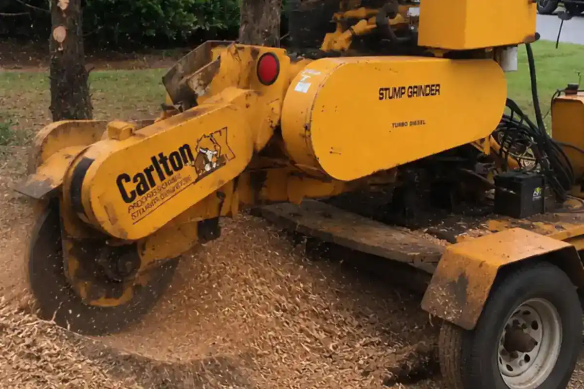 Stump grinder removing wood below the surrounding surface