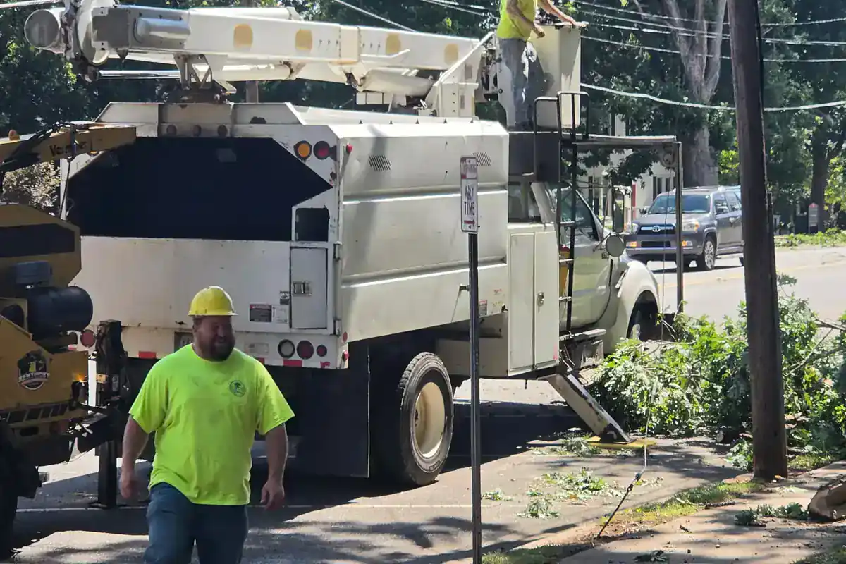 Hyler's tree and property work representative of services available in Denver, NC