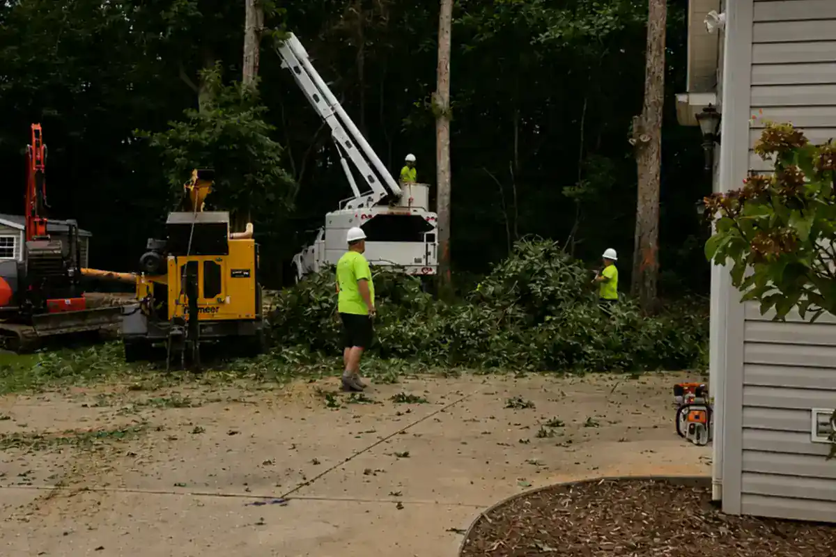 Tree-removal equipment working beside a home