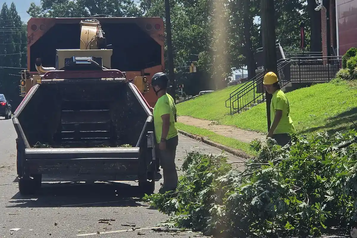 Dump truck and crew clearing residential tree debris