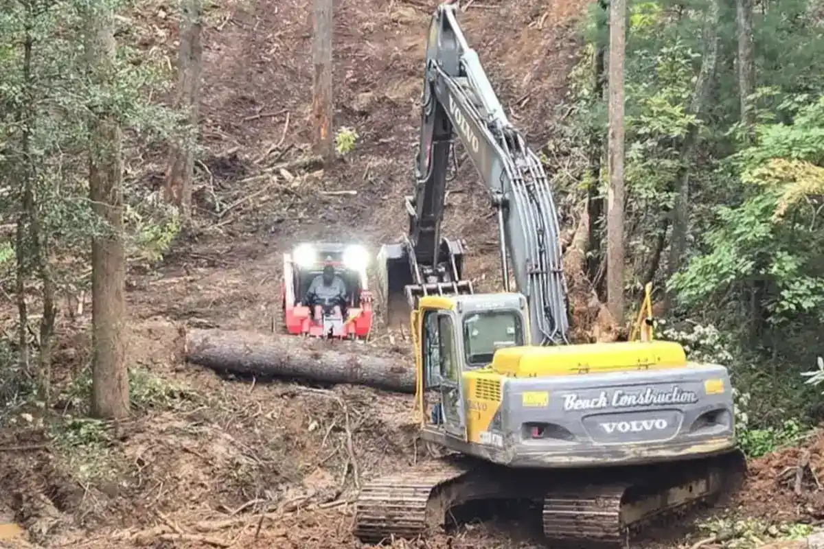Excavator opening access through wooded property