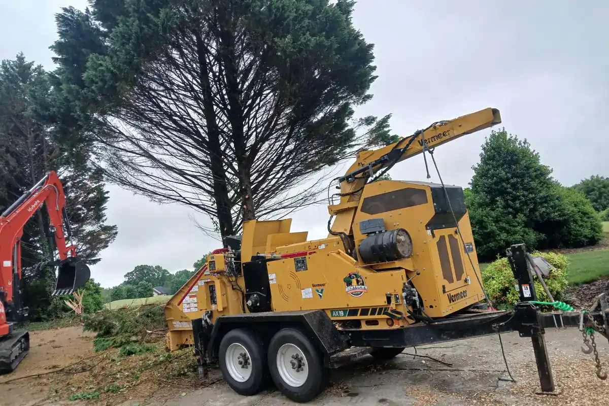 Whole-tree chipper processing removed tree material