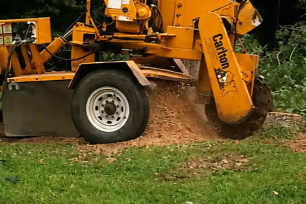 Stump Grinding